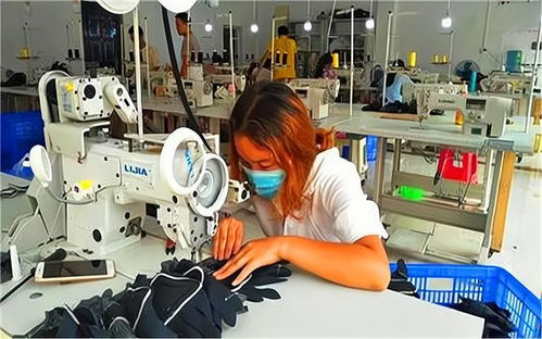 乡村创业新机遇 代加工厂项目选择与投资策略全解析