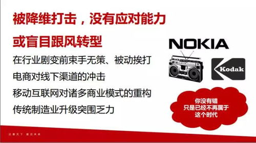 肖冰与350家企业的成败密码 达晨创投视角下的创业投资真谛
